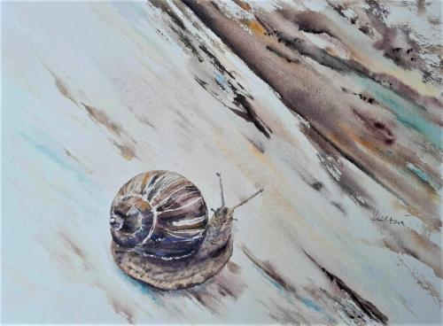 Spomaľ (21 x 30 cm)
