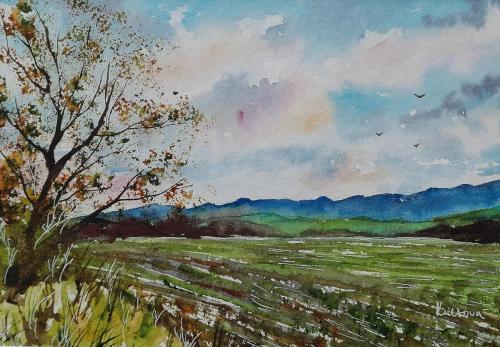 Polia za dedinou (13 x 18 cm)